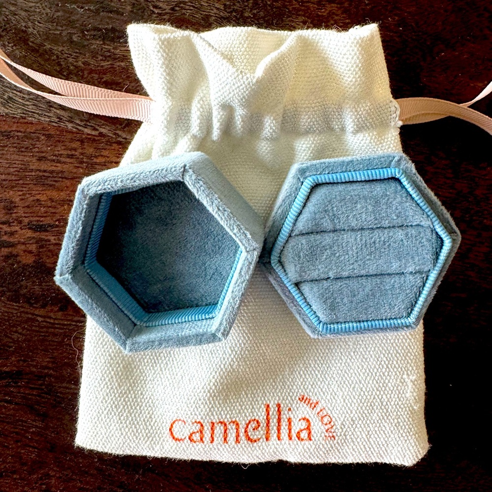 Two slot ring case